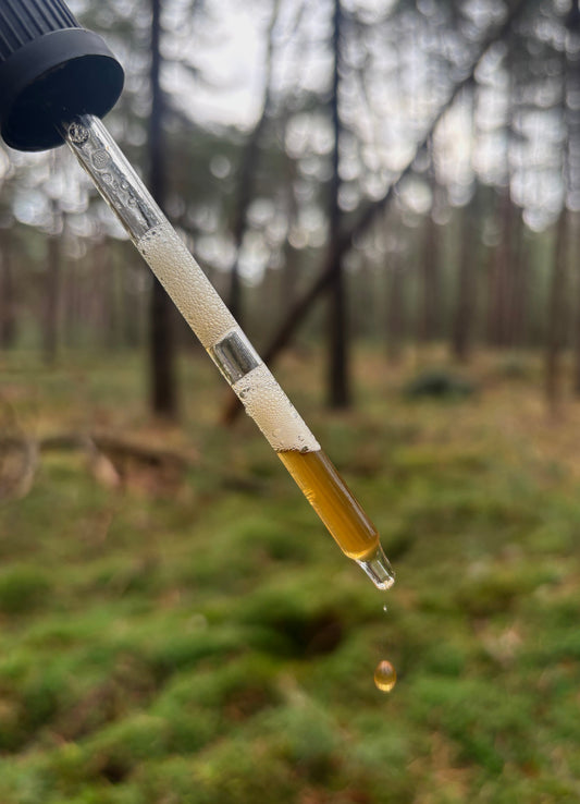 The Extract: 15:1 Ratio, Standardization & Potency