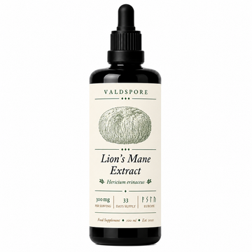 Lion's Mane Extract 100 ml