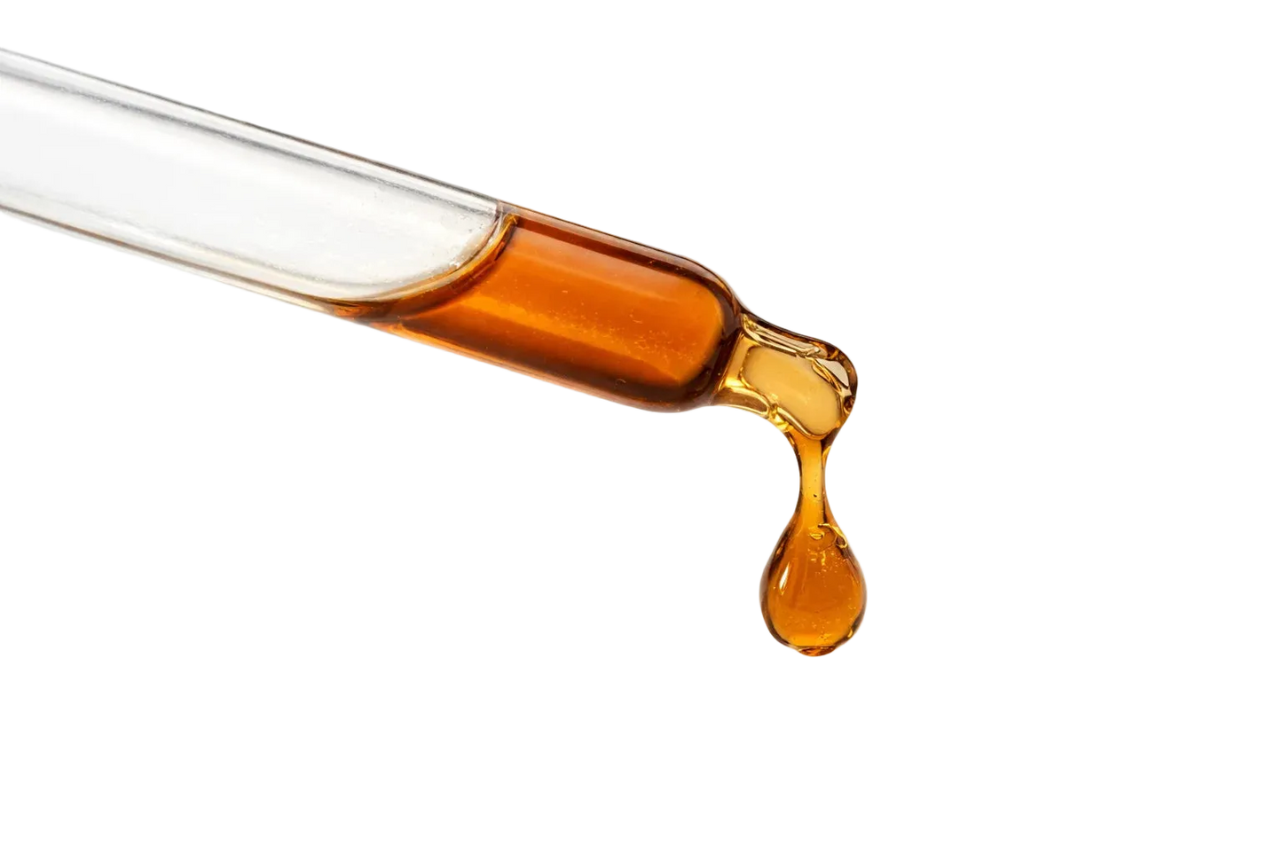 Lion's Mane Extract – 100 ml